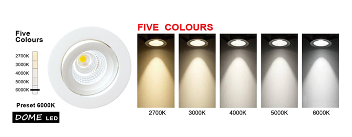 PHL10D Dome Five Colours Downlight