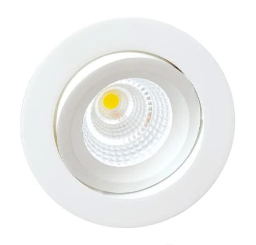 PHL10D Dome Five Colours WHITE Downlight