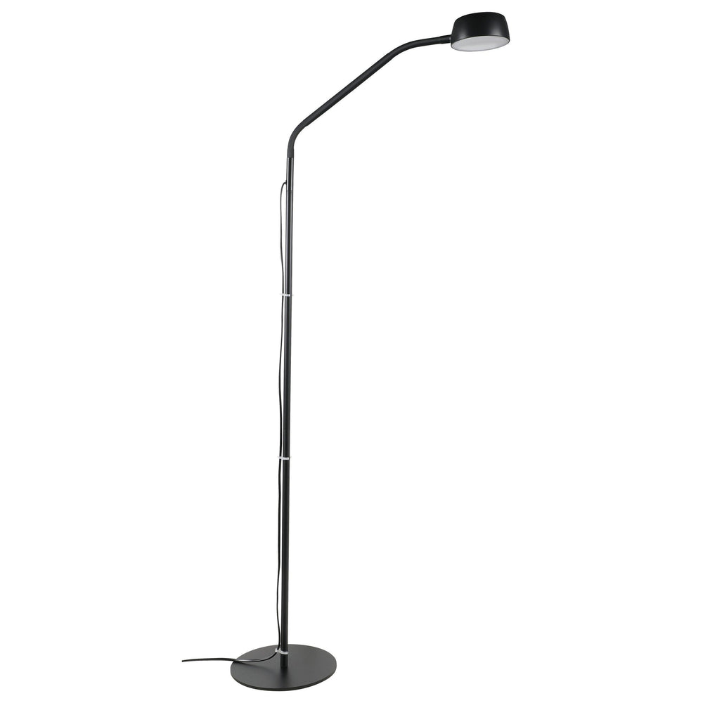 BEN floor lamp Black Floor Lamp