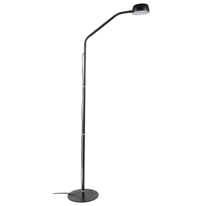 BEN floor lamp Black Floor Lamp
