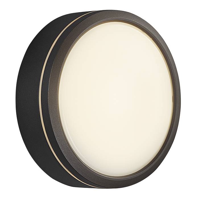 Ava Smart Ceiling Light Black Ceiling light