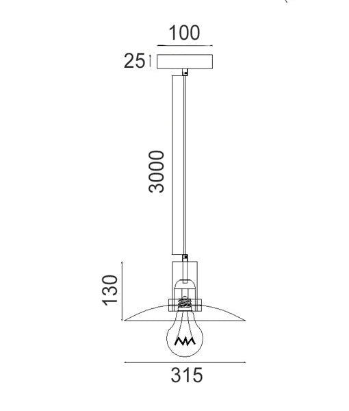 CHAPEAU: Interior Glass Coolie Small Pendant Lights Pendant