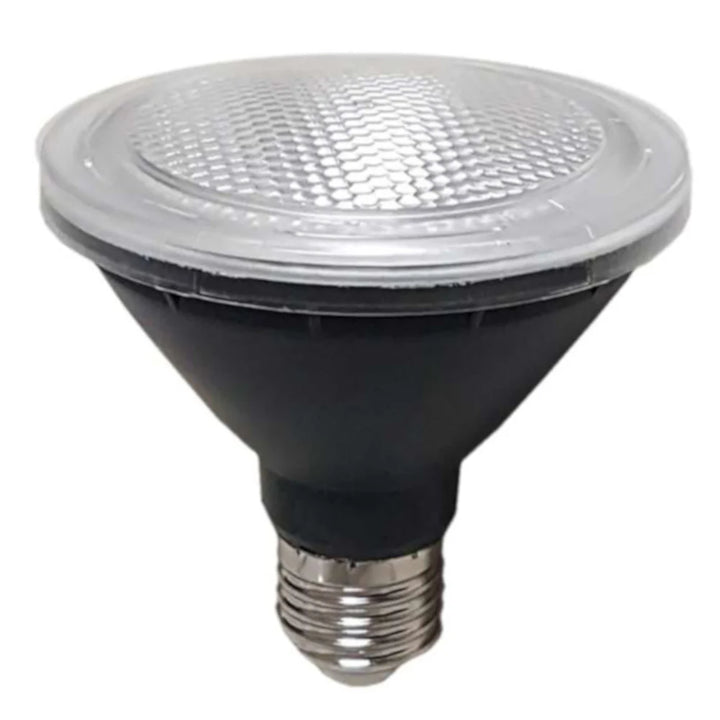 E27 10w PAR30 LED GLOBE NON-DIM GLOBES