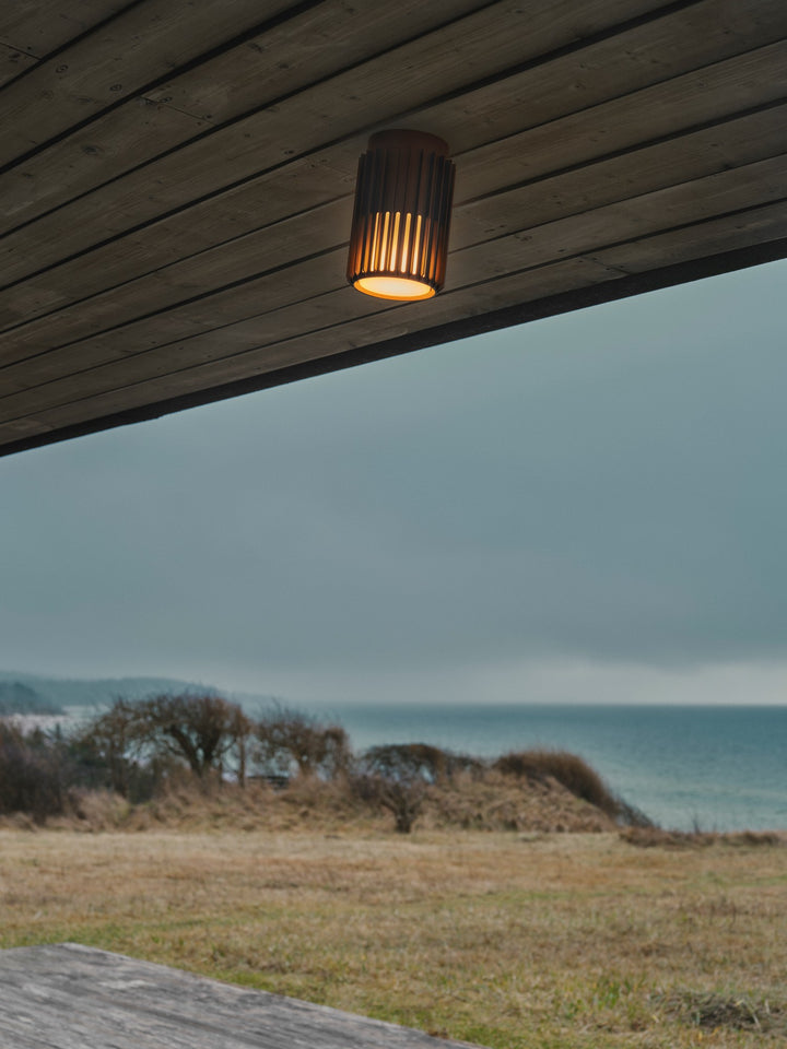 Aludra Ceiling light Seaside brown metallic/black/anthracite CTC