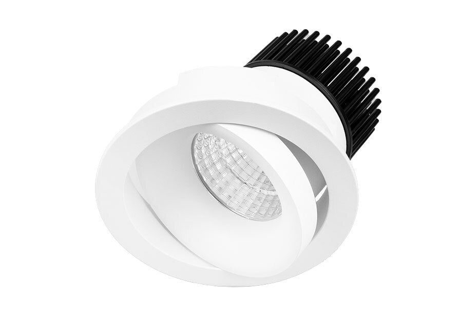 Miniled XDG10 10W Recessed Adjustable Downlight White Downlight