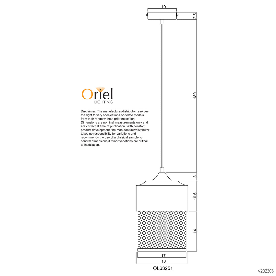 CHESTER Industrial Mesh Pendant Retro Pendant Pendant