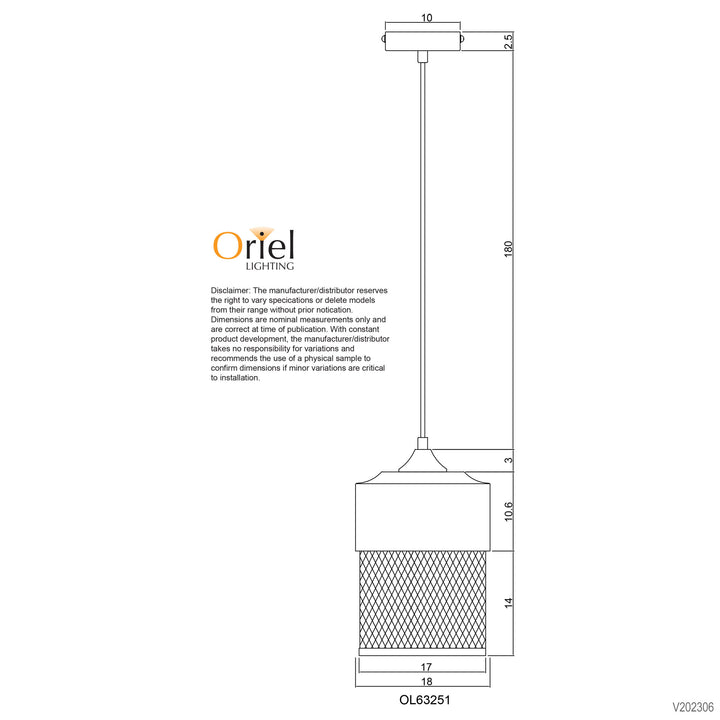 CHESTER Industrial Mesh Pendant Retro Pendant Pendant