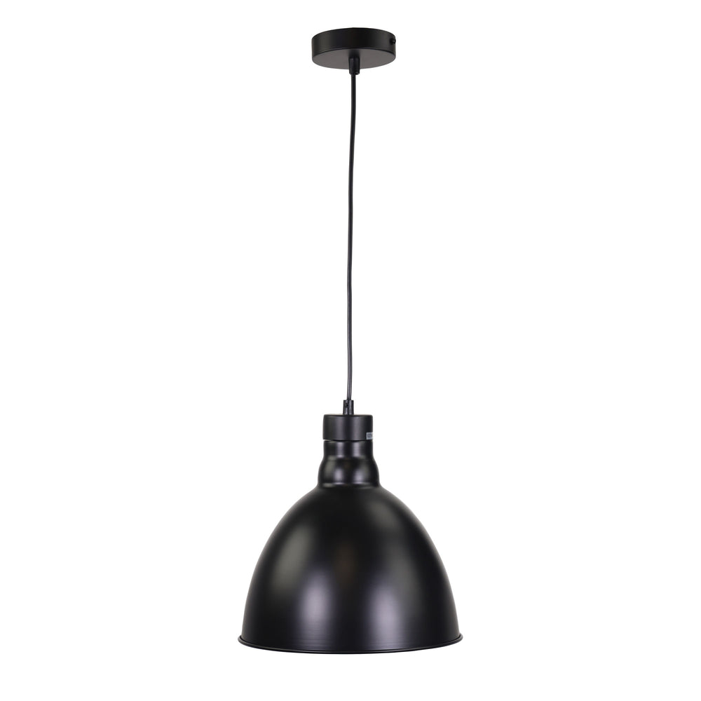 DAWSON PENDANT Barn Style Pendant Black Pendant