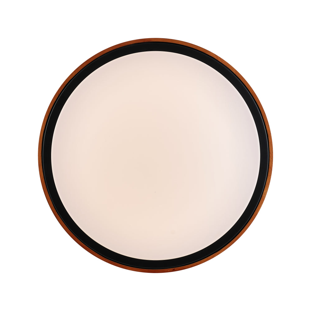 ORLIN LED OYSTER-Step Dimming OYSTER LIGHT