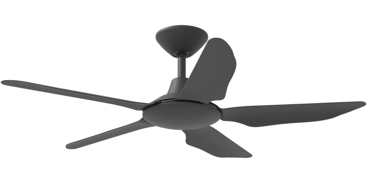Storm DC Ceiling Fan Black and White Black Celling Fan