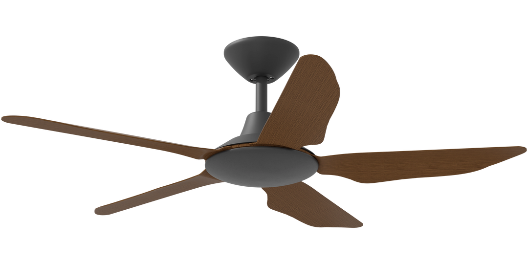 Storm DC Ceiling Fan with Koa Blade Black with Koa Celling Fan