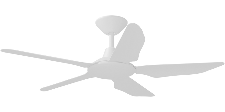 Storm DC Ceiling Fan Black and White White Celling Fan