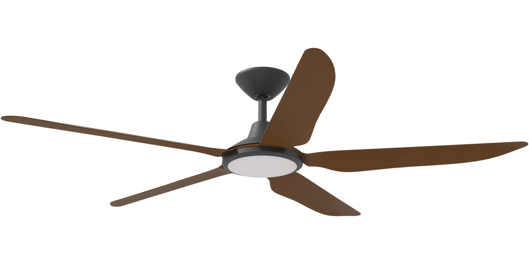 Storm DC Fan with LED light /Koa Blades Black with Koa Celling Fan