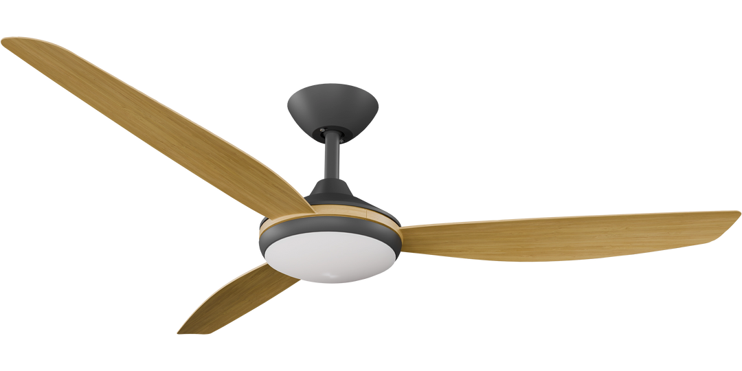 Calibo Condor DC Fan with light, with Bamboo Blades Black Ceiling Fan