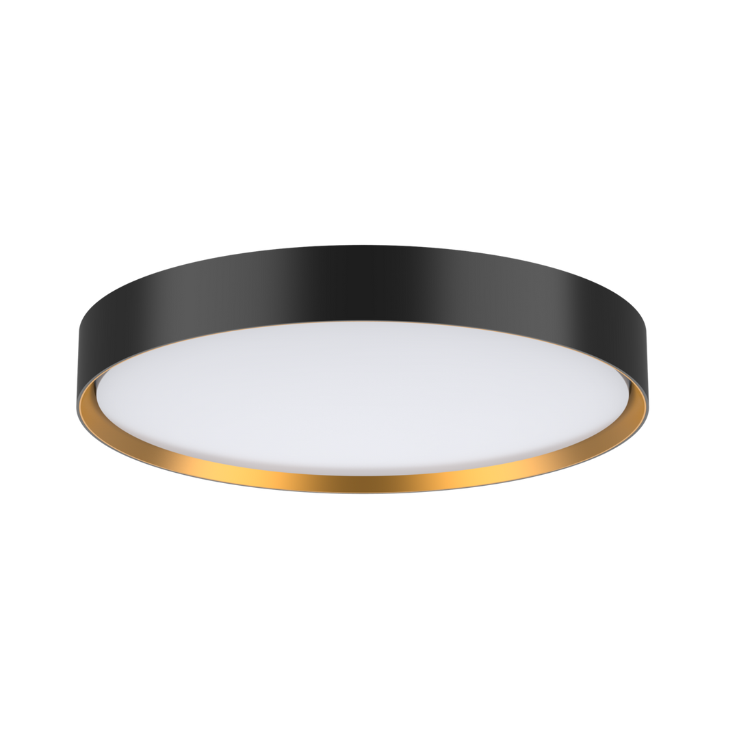 Accessory- Gold rings for DECORD-Ring Only Accessory