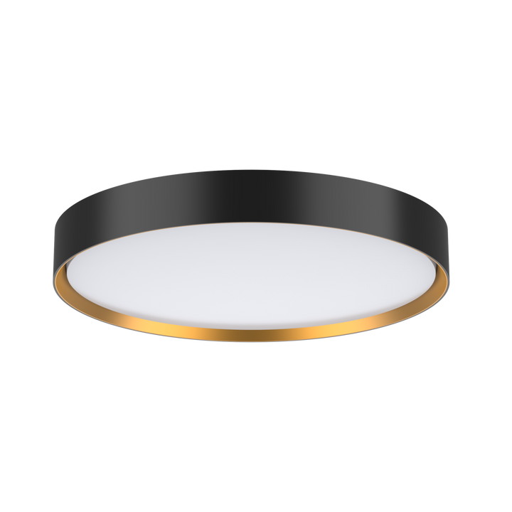 Accessory- Gold rings for DECORD-Ring Only Accessory