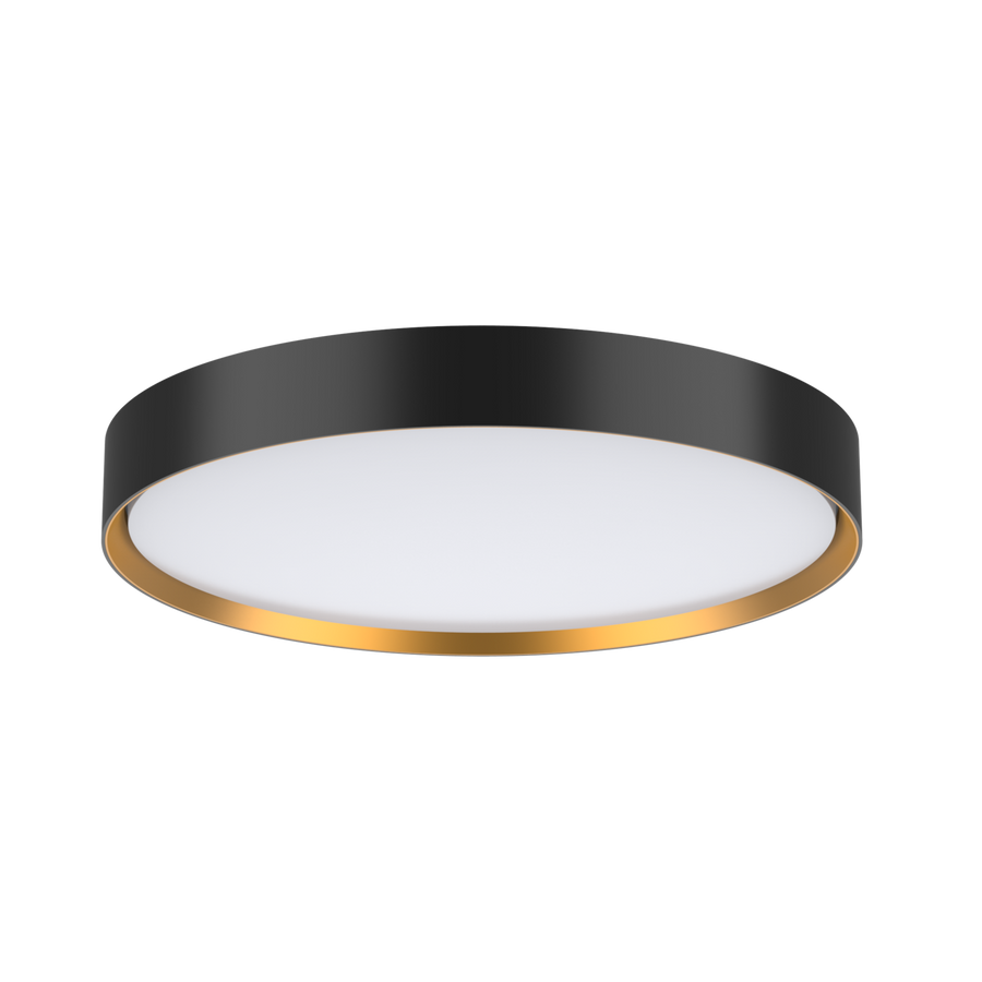 Accessory- Gold rings for DECORD-Ring Only Accessory