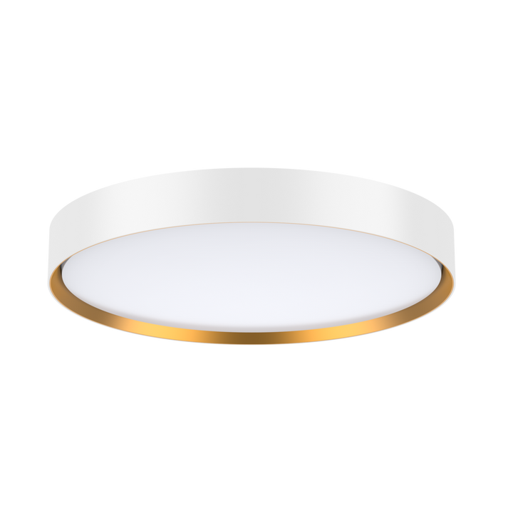 Accessory- Gold rings for DECORD-Ring Only Accessory