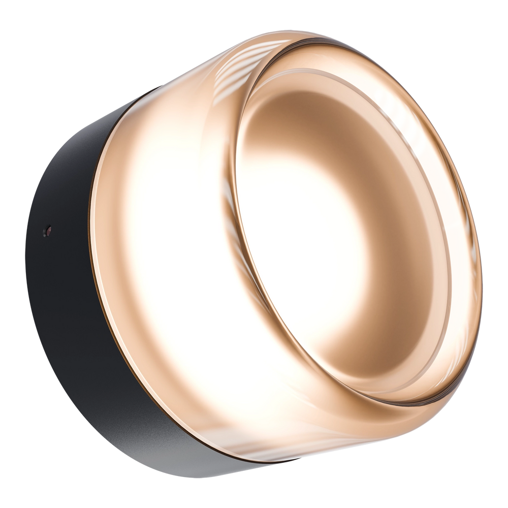 Calibo Gull Round Frosted Acrylic 3CCT LED Exterior Wall Light Black WALL LIGHT