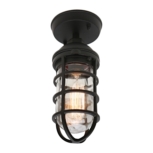 Cougar Newport Under Eave light Black Ceiling light