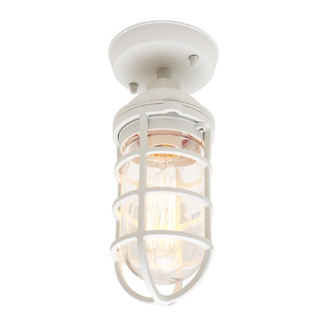 Cougar Newport Under Eave light White Ceiling light