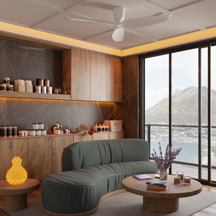 AE3+ DC Ceiling Fan Ceiling Fan