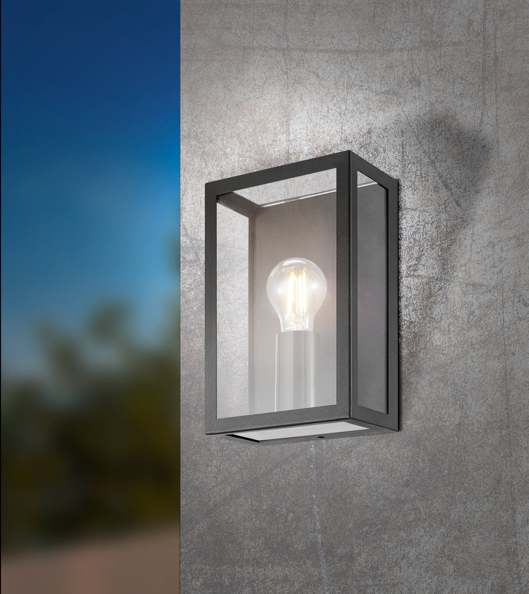 ALAMONTE 1- 1 light wall light
