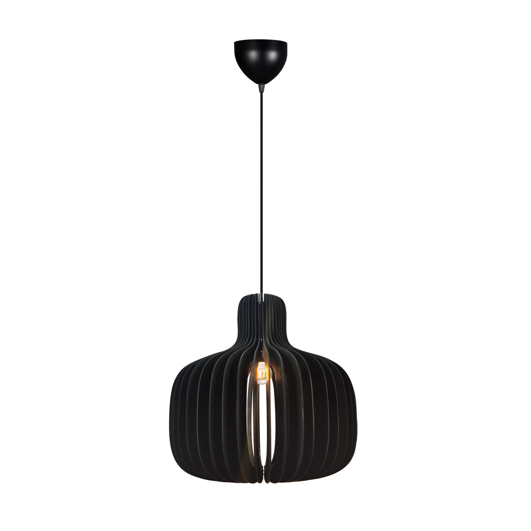 Hazo 43 Pendant Black Pendant