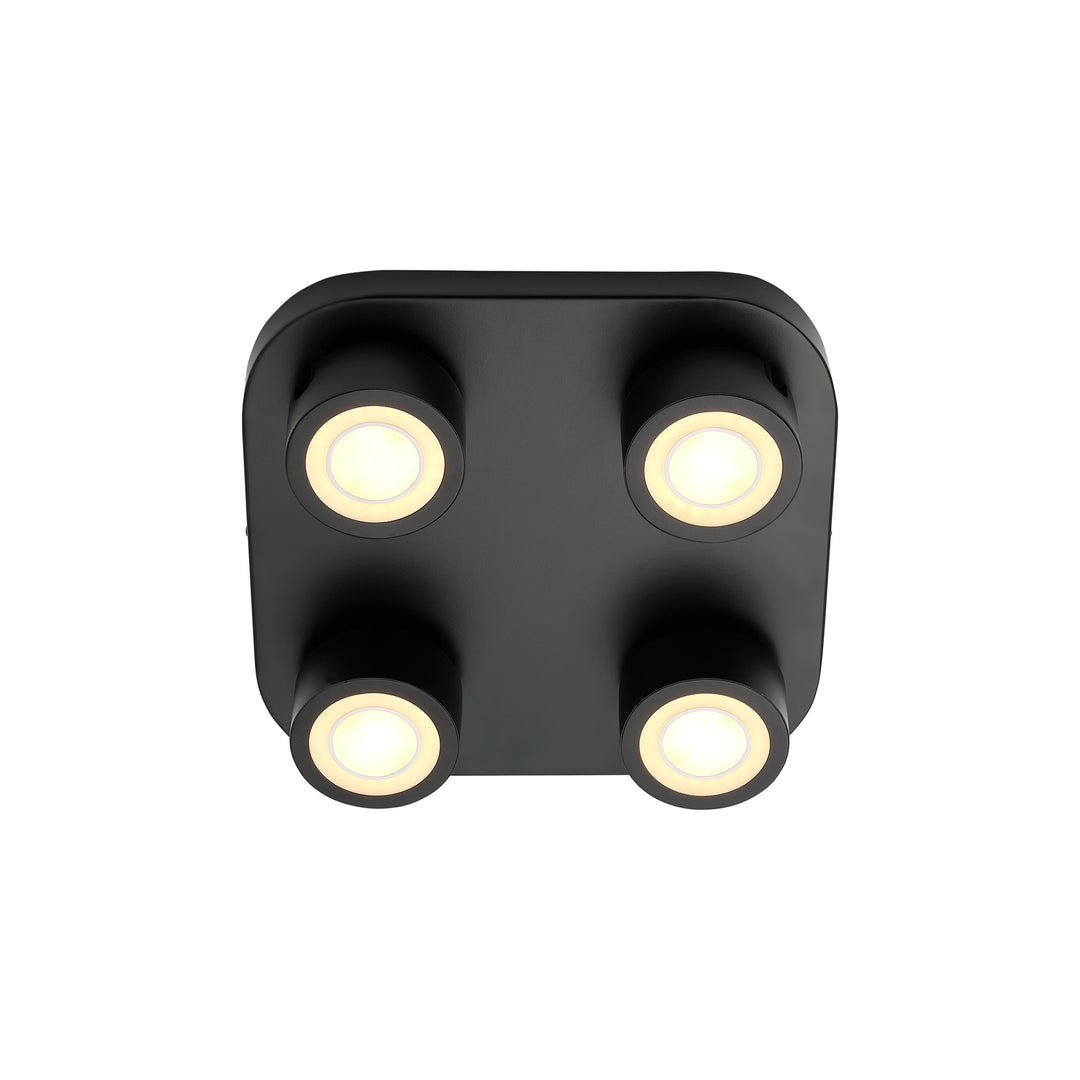 Clyde 4-Spot Ceiling light Black