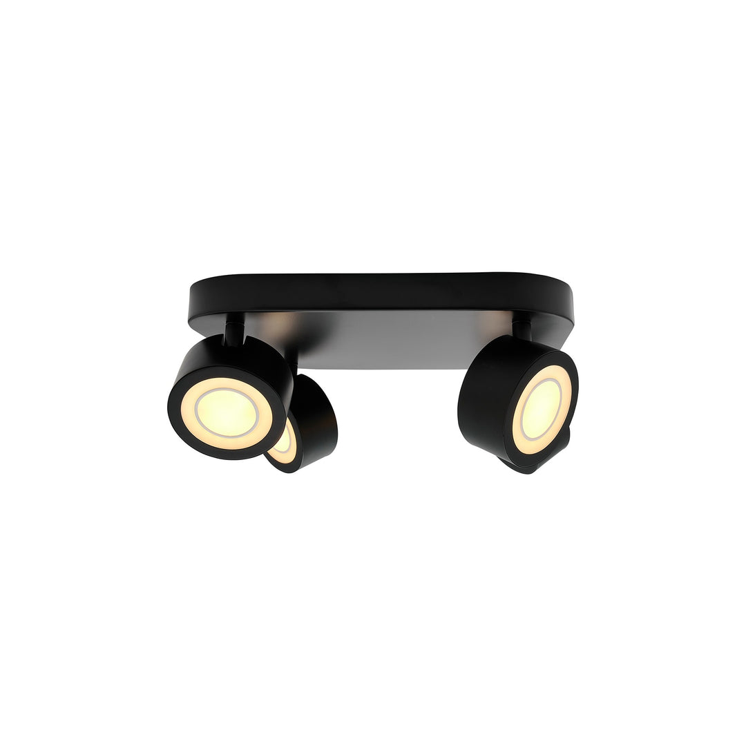 Clyde 4-Spot Ceiling light Black