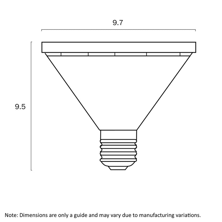 E27 10w PAR30 LED GLOBE NON-DIM