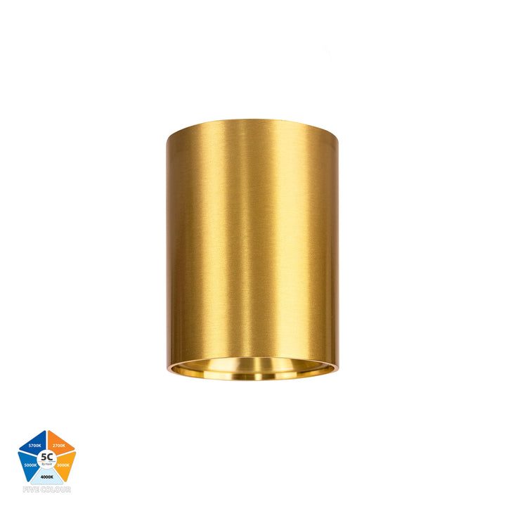 HV5841S- Nella Black/White /Brass 7w Surface Mounted LED Downlight