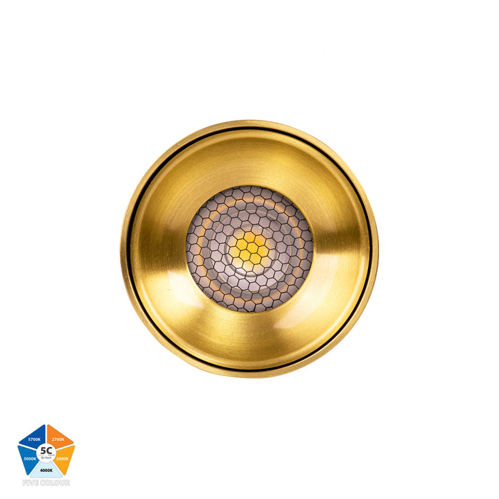 HV5841S-EXT Nella Black/White/Brass 7w Surface Mounted LED Downlight