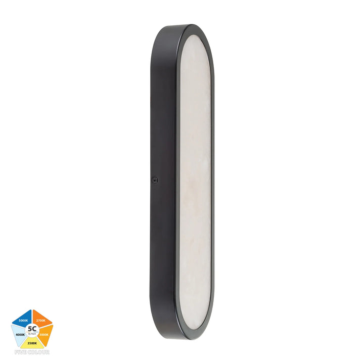 HV8011S-GLDALB - Auster Gold /Black with Alabaster Glass Wall Light Wall light