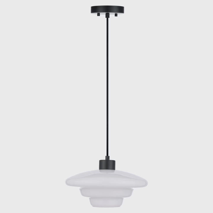 Haywood Pendant 32cm Black