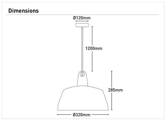 Morrissey 1Lt Pendant Light