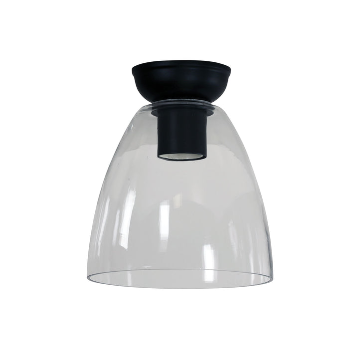 WARWICK DIY BLACK BATTEN FIX