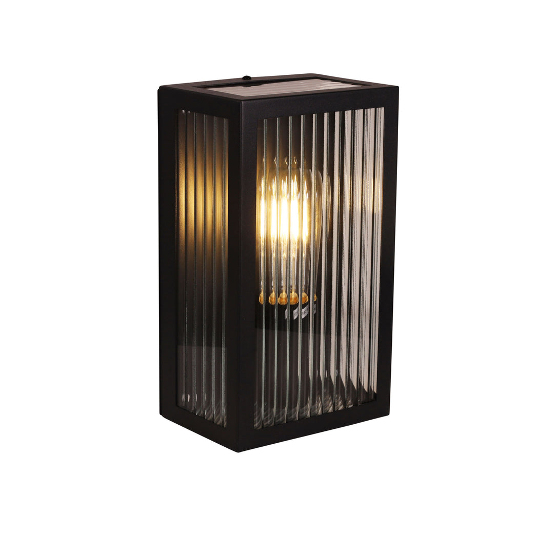 CHICAGO 1 Light Reeded glass outdoor wall light