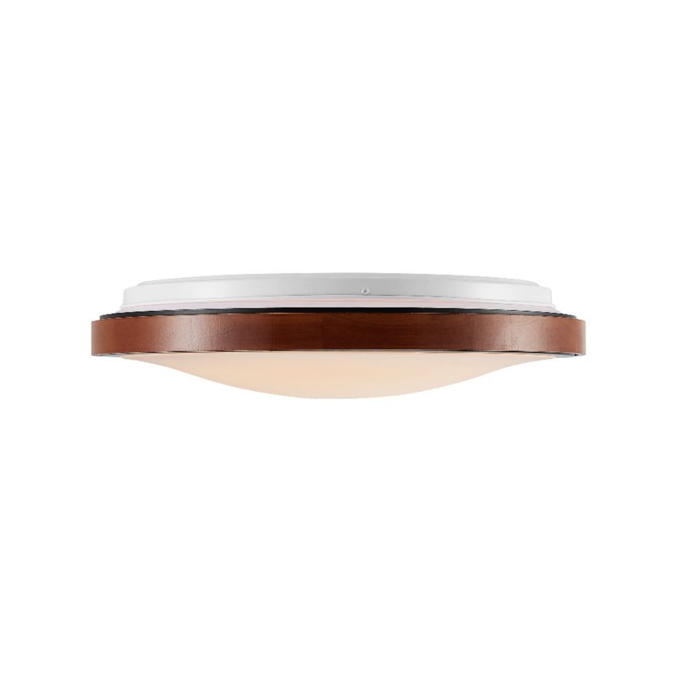 ORLIN LED OYSTER-Step Dimming