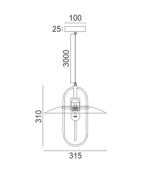 PAPILLON: Interior Oblong Iron with Glass Coolie Pendant Lights