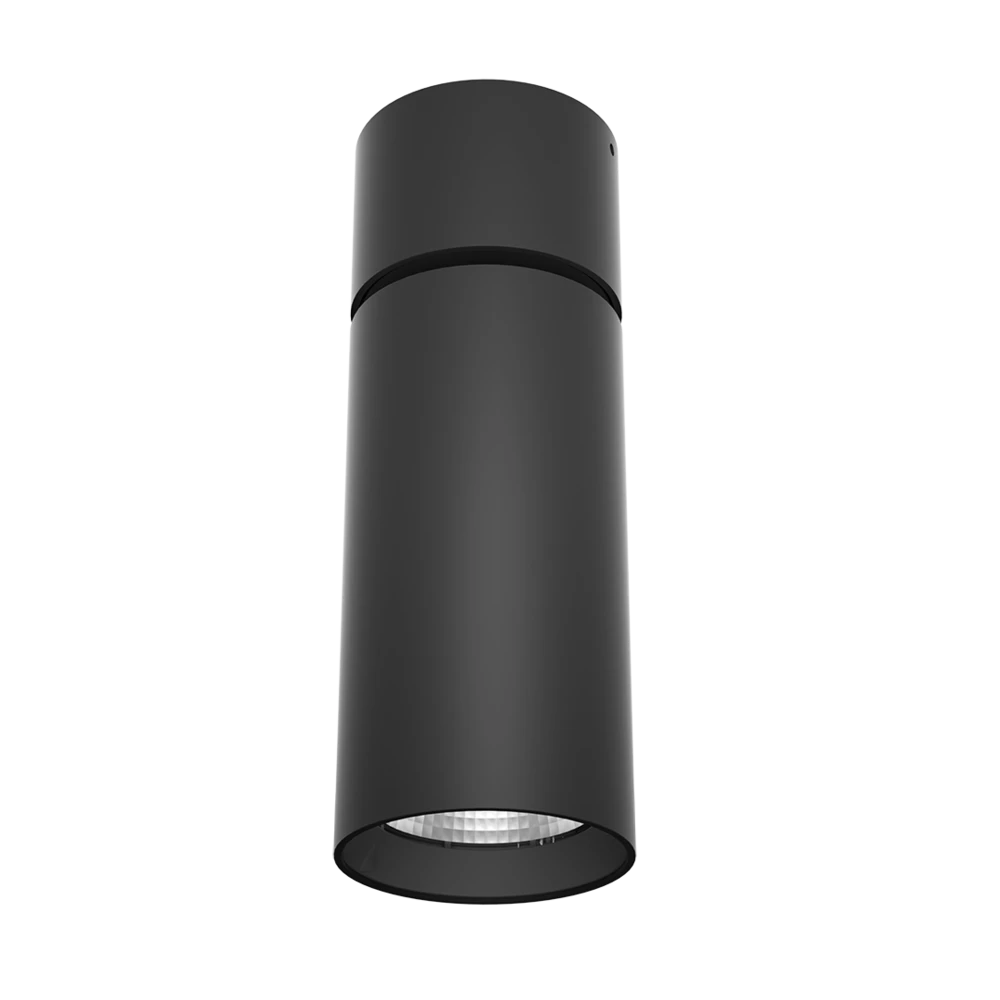 SURFACE SPOT SMT9017TC - 10/15W Surface Mount Downlight