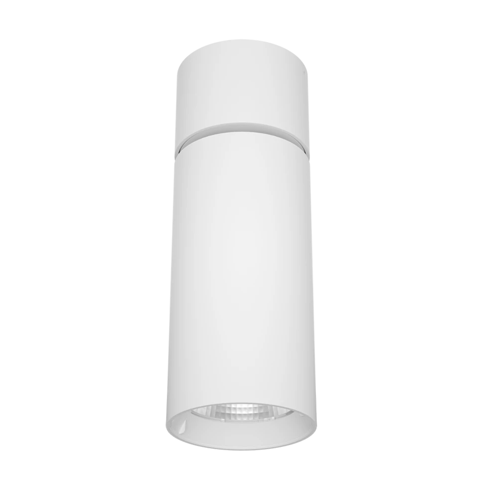 SURFACE SPOT SMT9017TC - 10/15W Surface Mount Downlight