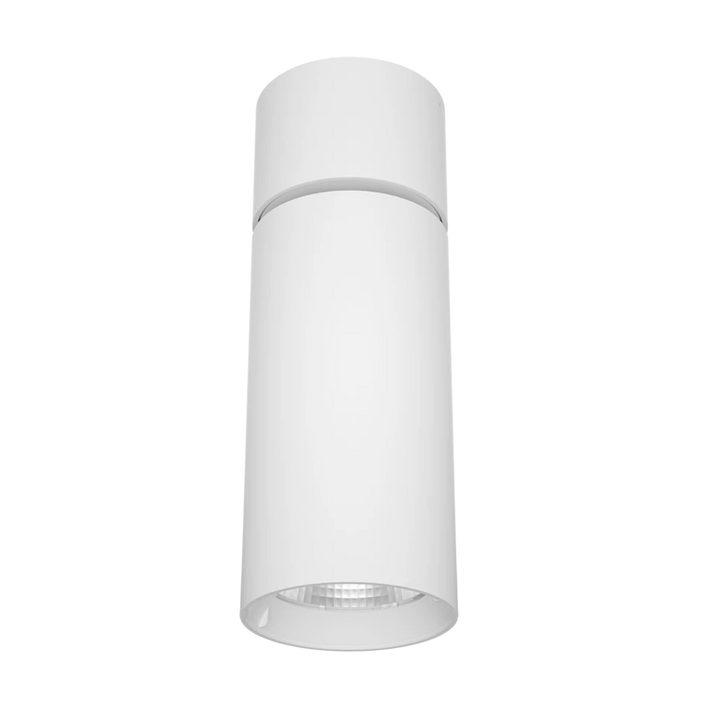 SURFACE SPOT SMT9017TC - 10/15W Surface Mount Downlight