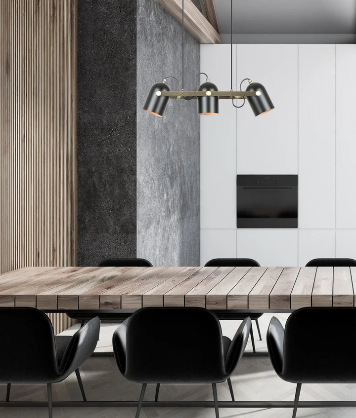 TAZZA: Interior Ellipse Shade with Antique Brass Hardware Pendant Light Pendant