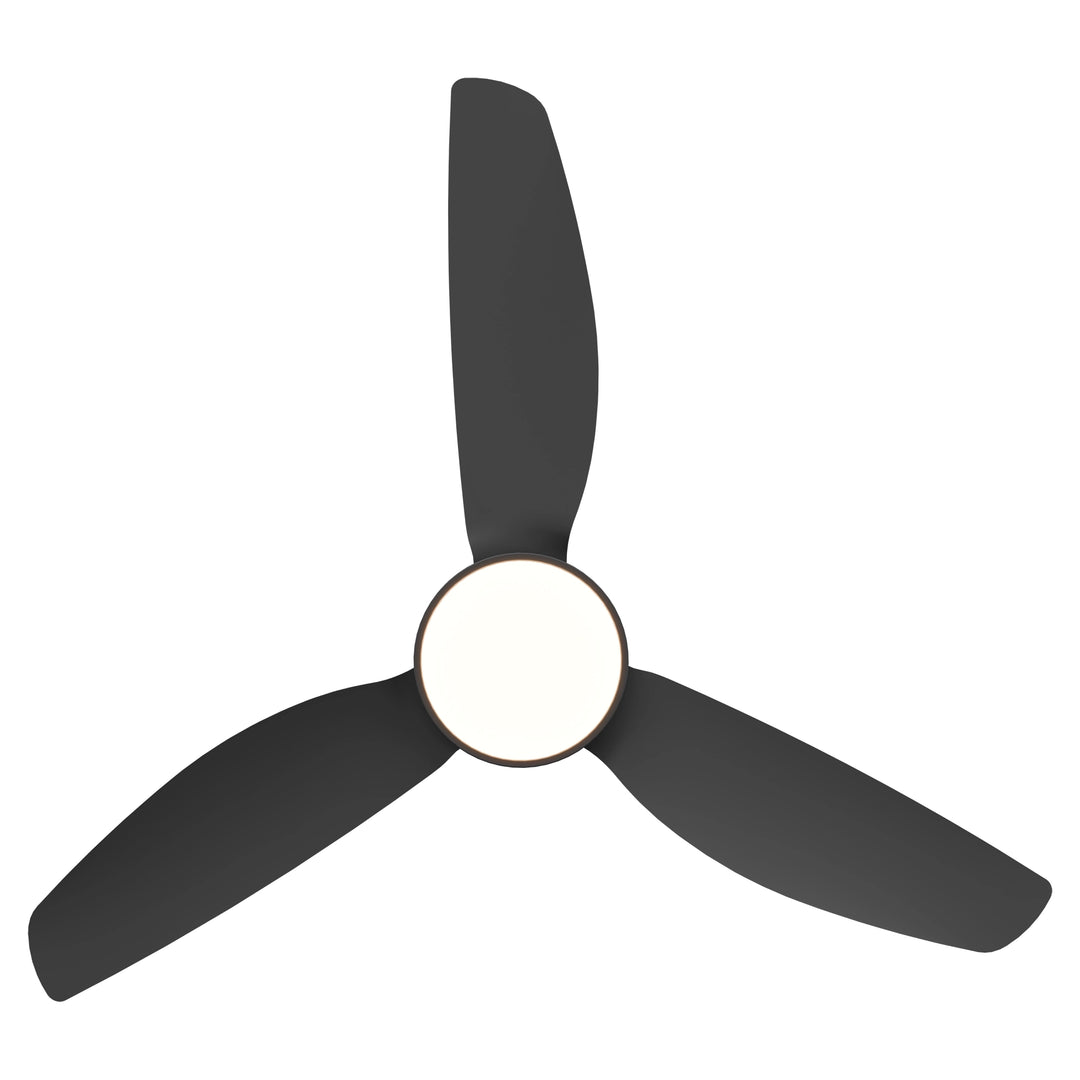 Sora DC Ceiling Fan with Wall Switch and Remote with Light Ceiling Fan