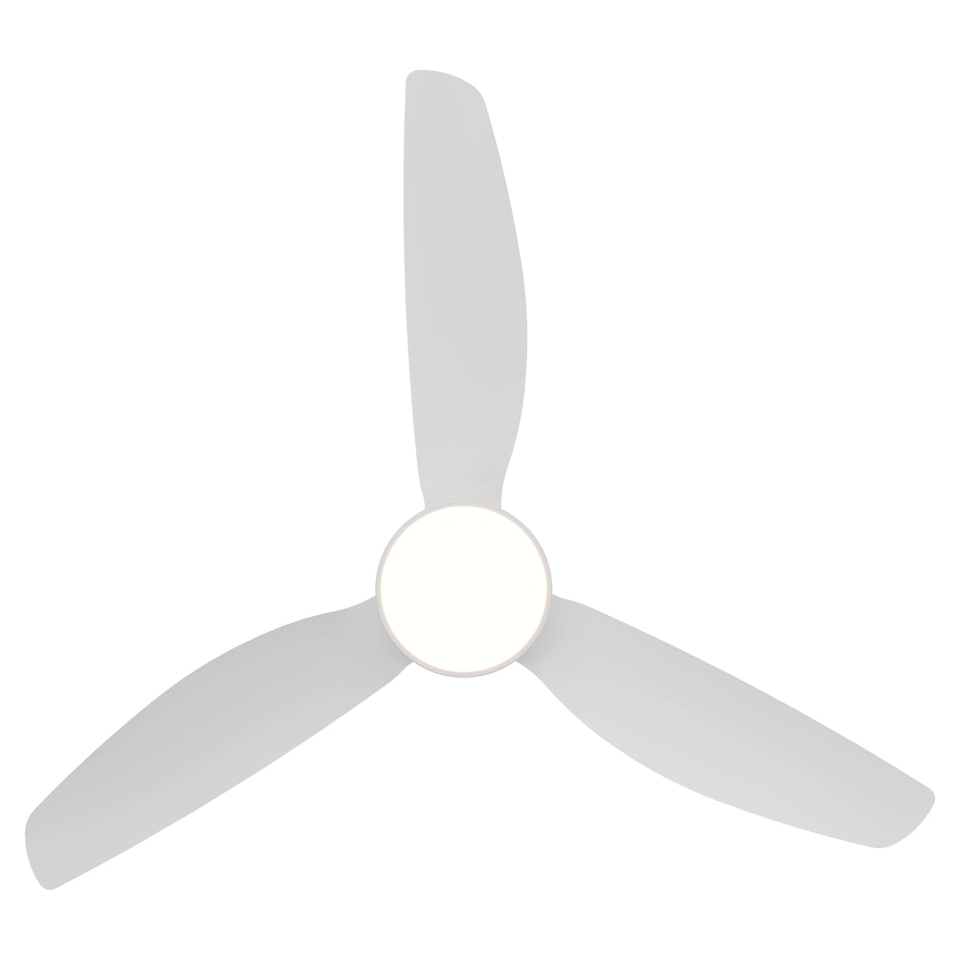 Sora DC Ceiling Fan with Wall Switch and Remote with Light Ceiling Fan