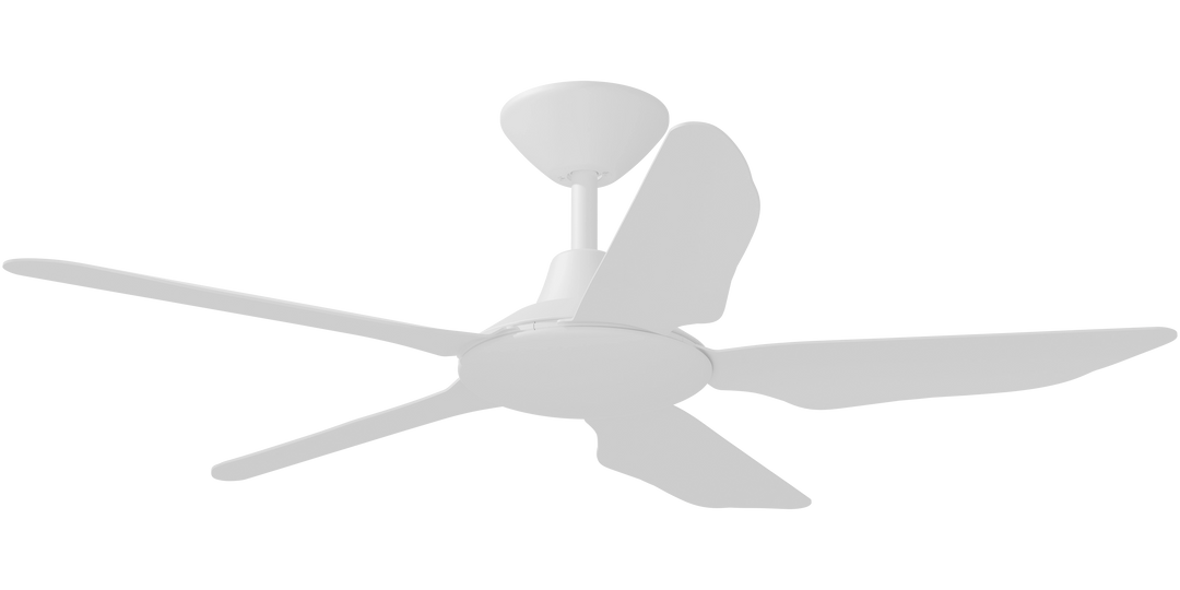 Storm DC Ceiling Fan Black and White