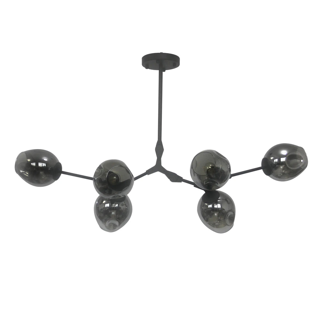 Evertop Black and Smoke Glass 6 lights Pendant (E27)