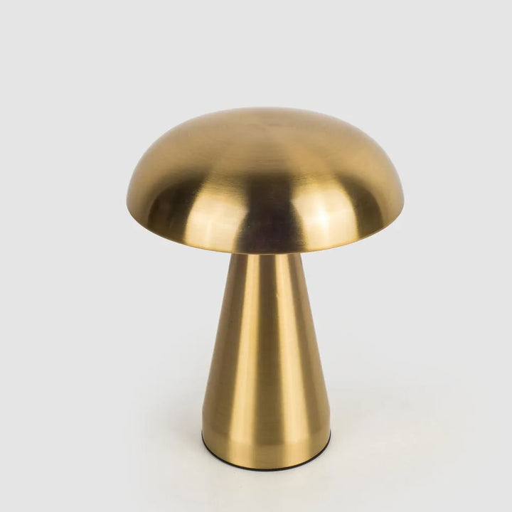 Terri Rechargeable Table Lamp Portable Lamp