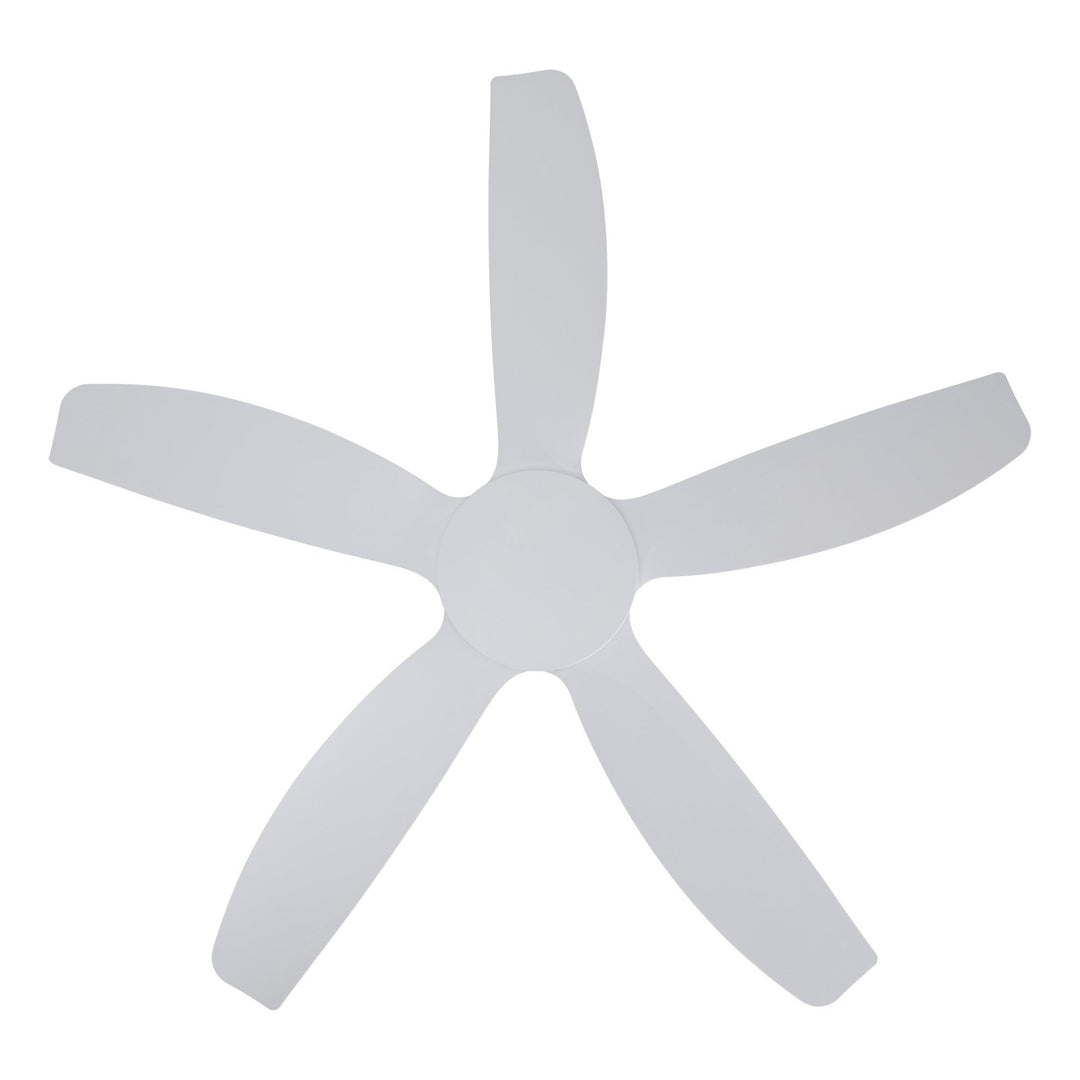 MIAMI 48 DC Smart Ceiling Fan with Remote and Wall Control Ceiling Fan